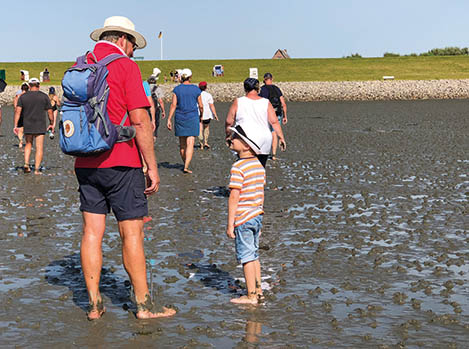 Nordsee & Wattenmeer