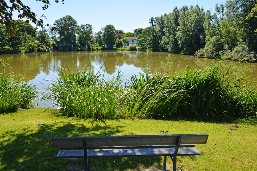 Mühlenwehl mit Fischreiher