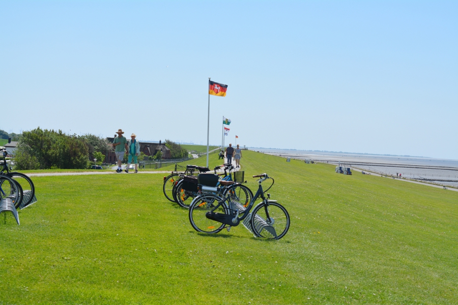 Auf der Deichkrone