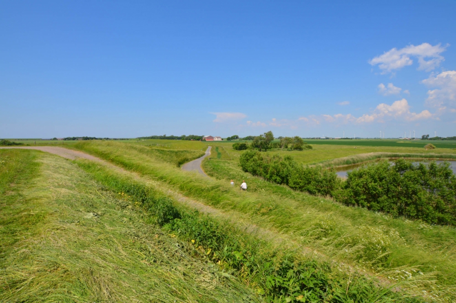 Kooglandschaft